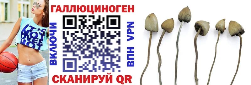 Галлюциногенные грибы GOLDEN TEACHER  где купить наркоту  Ленск 