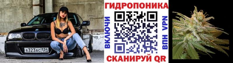 Конопля ГИДРОПОН Ленск